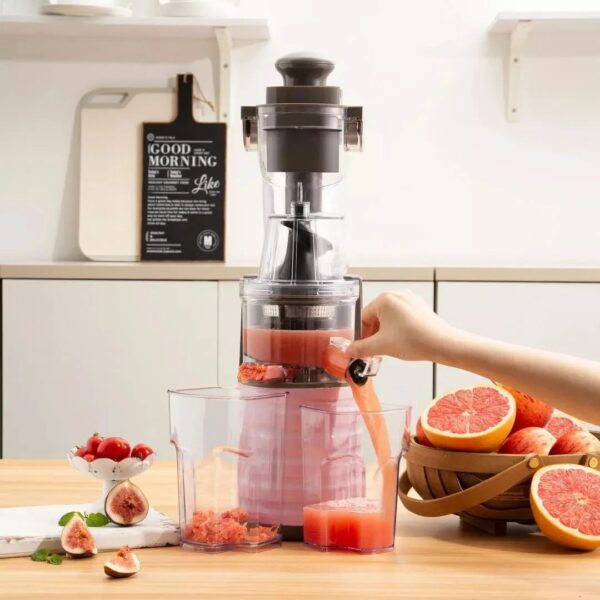 Sokany™ 300W Professional Whole Slow Masticating Juicer
