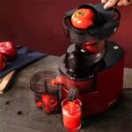 Sokany Slow Masticating Juicer