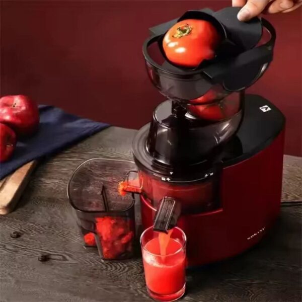 Sokany Slow Masticating Juicer