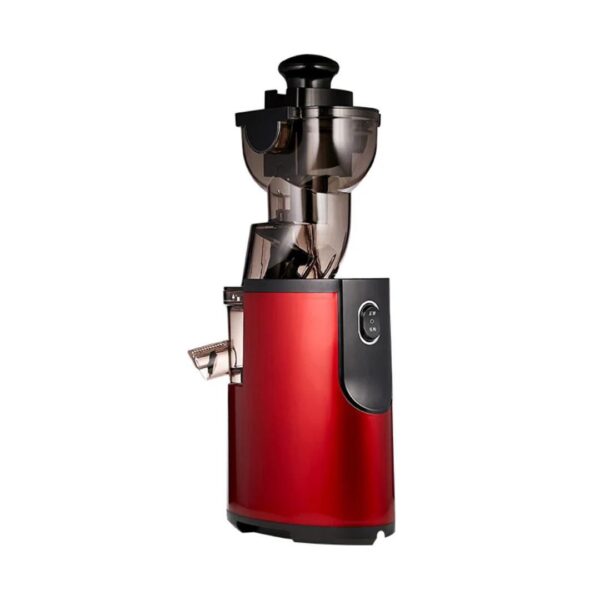 Sokany Slow Masticating Juicer