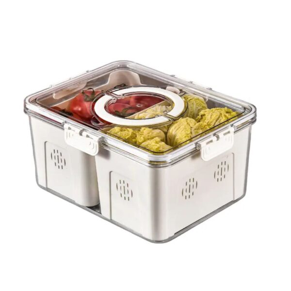 4-Compartment Drain & Storage Case