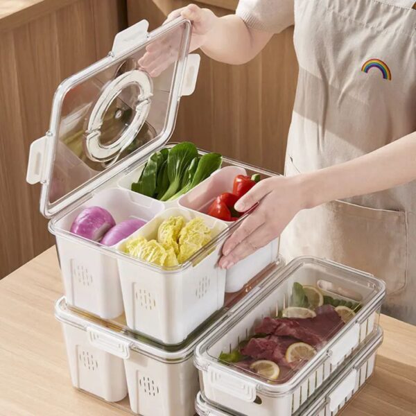 4-Compartment Drain & Storage Case