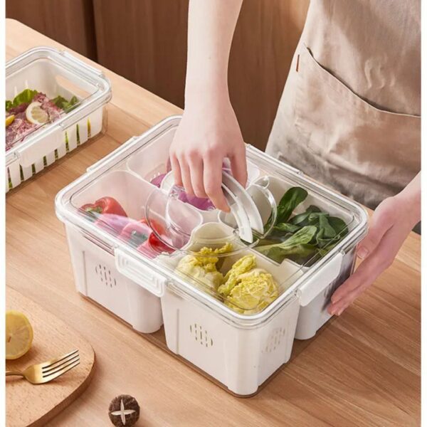 4-Compartment Drain & Storage Case