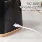 Personal Rechargeable Juicer