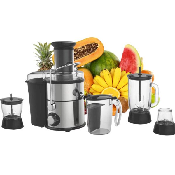 4-in-1 Professional Juicer & Blender Station