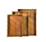 3-Piece Nesting Acacia Wood Tray Set with Gold Handles