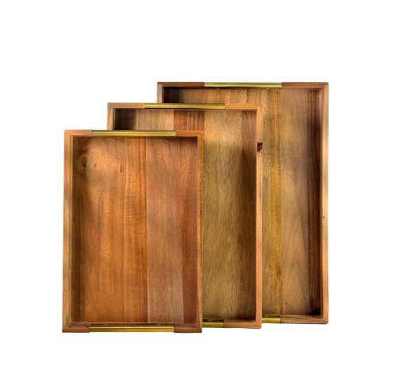 3-Piece Nesting Acacia Wood Tray Set with Gold Handles