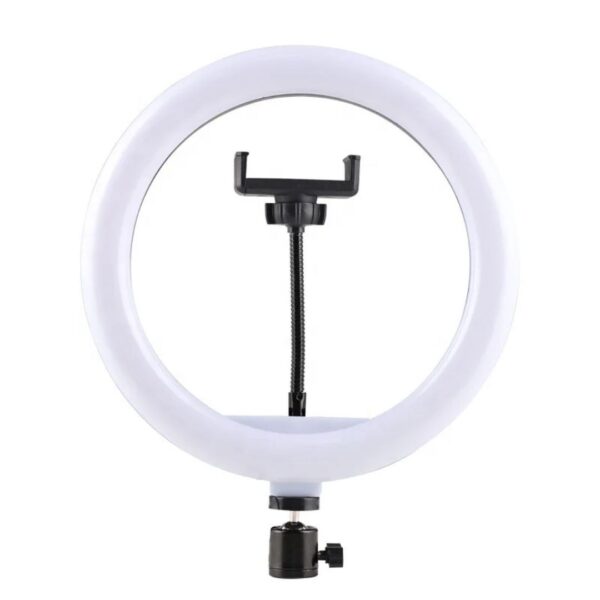 12" LED Ring Fill Light & Content Creator Kit