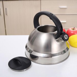 Fire Safe Professional Whistling Stainless Steel Kettle