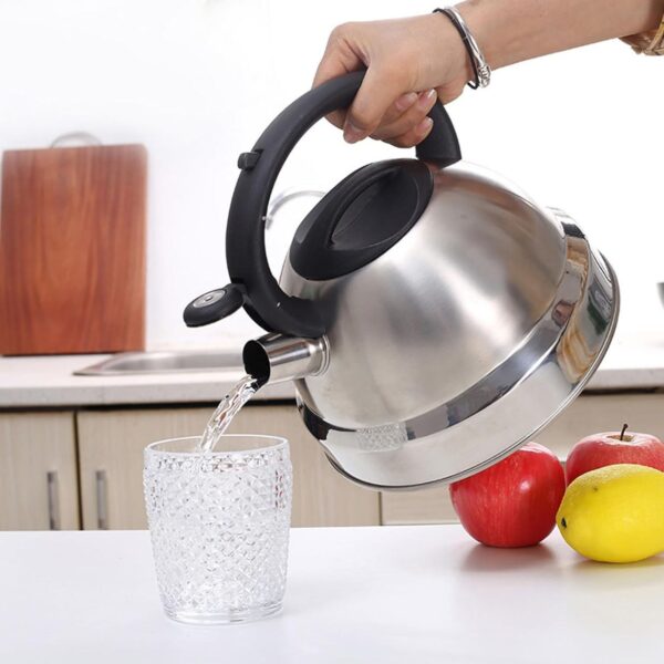 Fire Safe Professional Whistling Stainless Steel Kettle