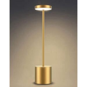 5933660051899878739_120