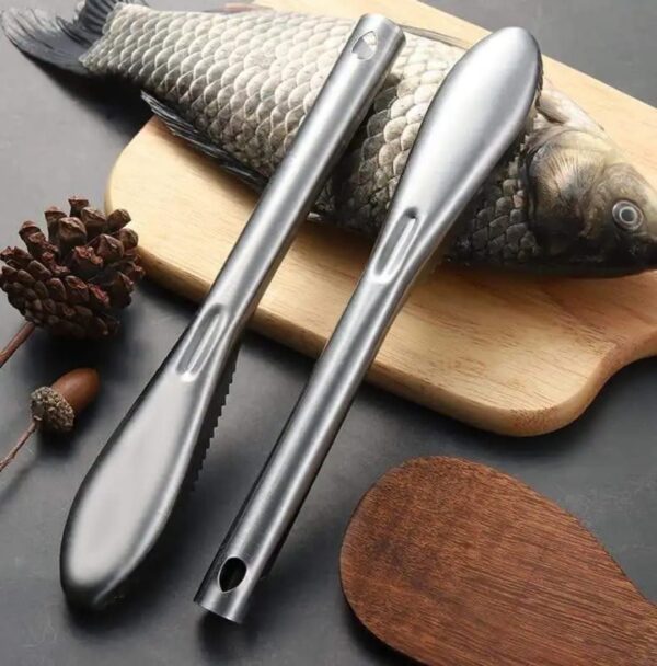 Stainless Steel Fish Scaler