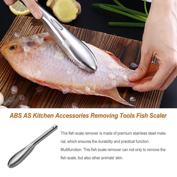 Stainless Steel Fish Scaler