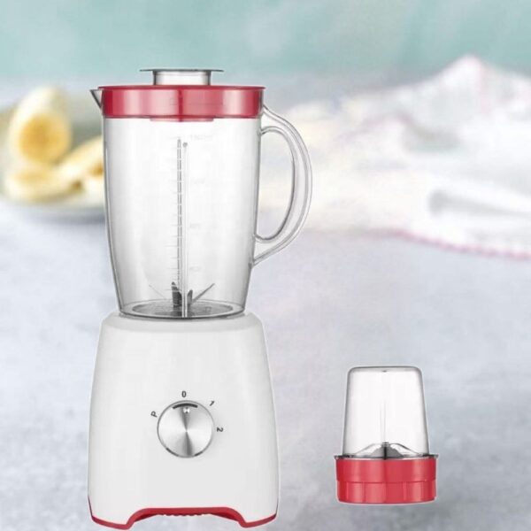 Cntronic 2-in-1 Blender & Grinder