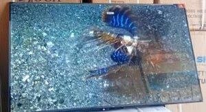 Roch Professional 55" WebOS Smart TV