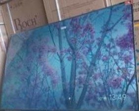 Roch Professional 55" WebOS Smart TV