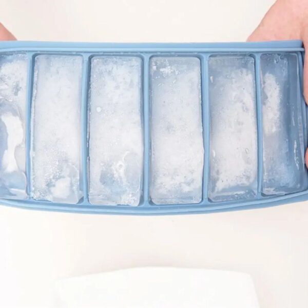 6-Hole Silicone Mould with Lid