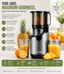 Hoffman™ Professional Slow Masticating Juicer