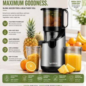 German Chef Slow Juicer