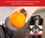 Hoffman™ Professional Slow Masticating Juicer